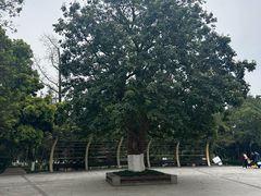 -龙头寺公园
