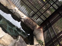 -水底山庄园温泉