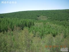 -塞罕坝国家级自然保护区