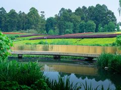 -天府芙蓉园