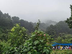 -吉姆冒险世界(蓟州店)