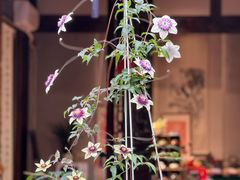 -诗婢家(宽窄巷子店)