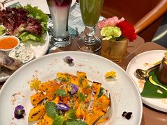 -三里屯东五街银杏大道