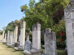 -徐州龟山景区
