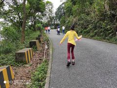 -广州市帽峰山景区
