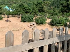 -山西乌金山旅游区