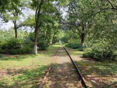 -永定河休闲森林公园