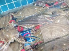 -宾朋海鲜美食特色餐厅·纯手工鲅鱼水饺(兴海路店)