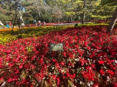 -黑龙江省森林植物园