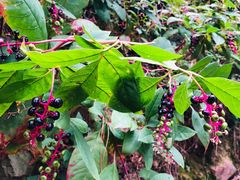 -敬亭山风景名胜区