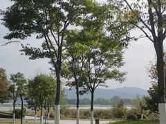 -云龙湖旅游景区