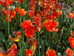 -玄武湖景区-情侣园游乐场