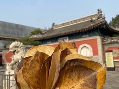 -大钟寺古钟博物馆