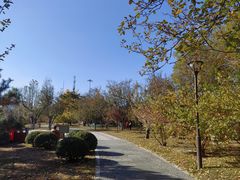 -元大都城垣遗址公园