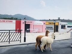 -Blue Concept Cafe&Farm·關於藍