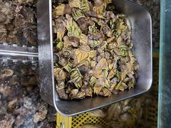 -坛南湾阿强农家乐.海鲜大排档老字号(福州地标美食店)