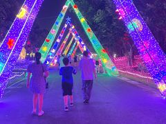 -广西壮族自治区药用植物园