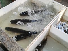 -杭州登云路农贸市场(胜月院店)