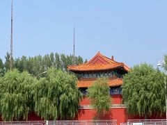 -白洋淀风景区