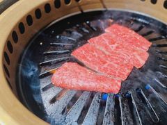 -炼火烤肉店