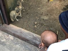-灵玲国际马戏城