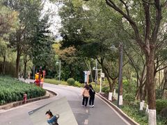 -神光山国家森林公园