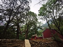 -北京上方山国家森林公园