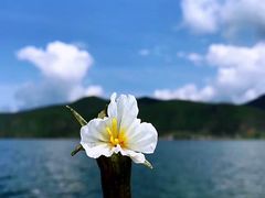 -丽江泸沽湖景区