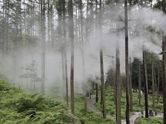 -洛阳白云山景区