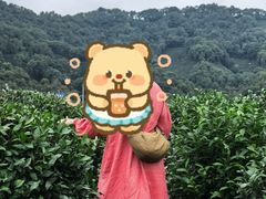 -十里琅珰