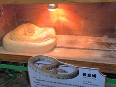 -鄂尔多斯野生动物园