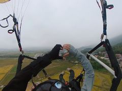 -长沙黑麋峰国家森林公园