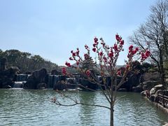 -白马涧龙池景区
