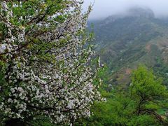 -中华福寿山
