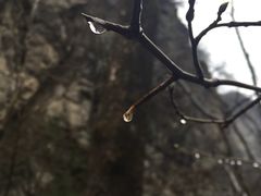 -牛背梁国家森林公园