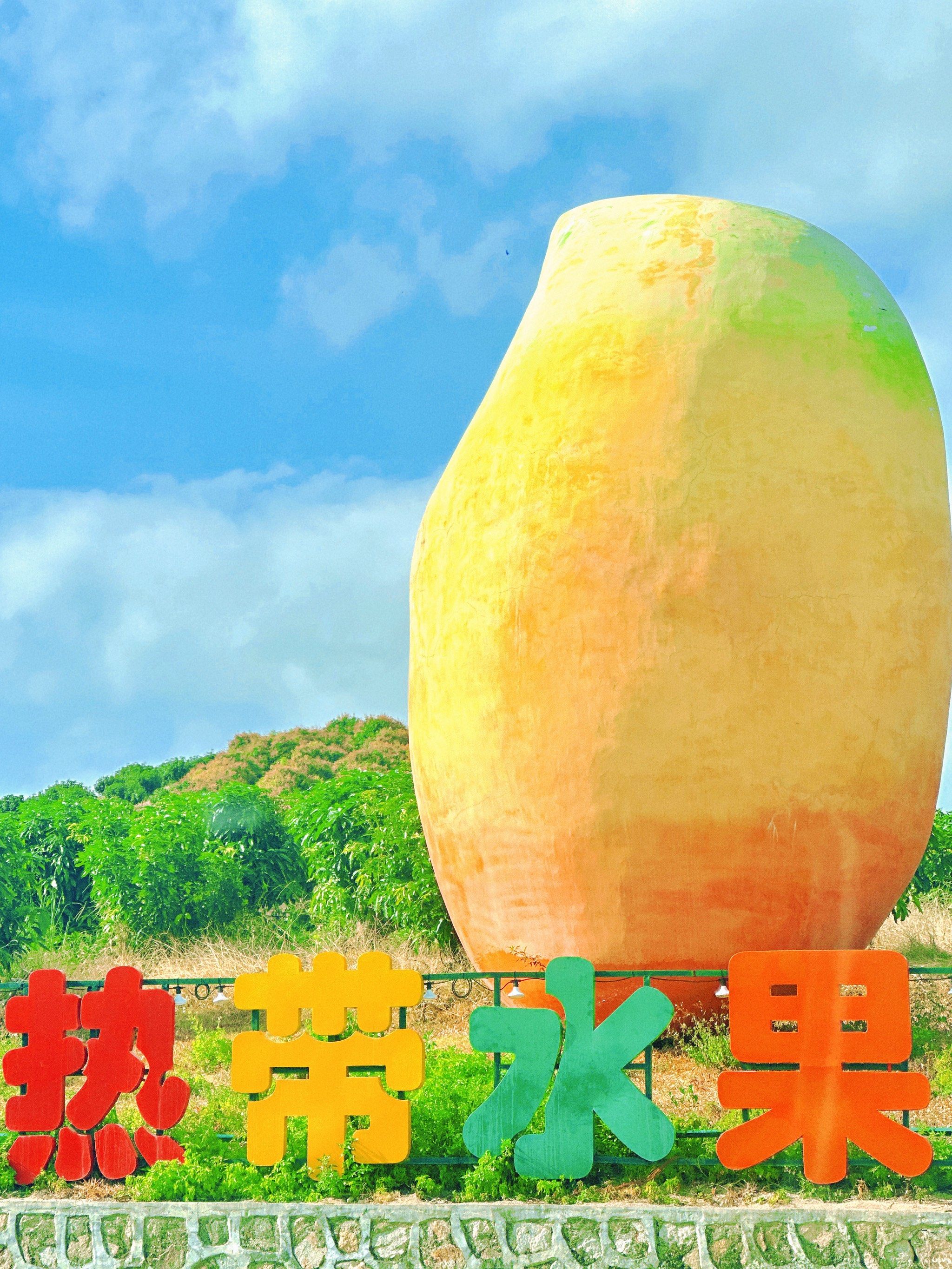 哇!在三亚发现了超超超大芒果037515十几种热带水果的采摘园