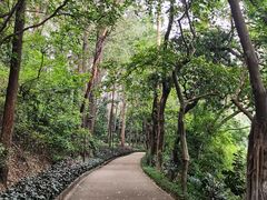 -南岗山公园