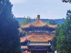 -龙口南山旅游景区