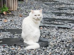 -小时光咖啡馆(开森度假森林店)