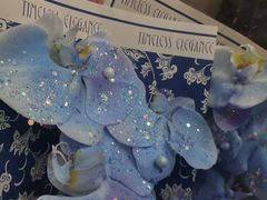 -Flower in(密渡桥店)