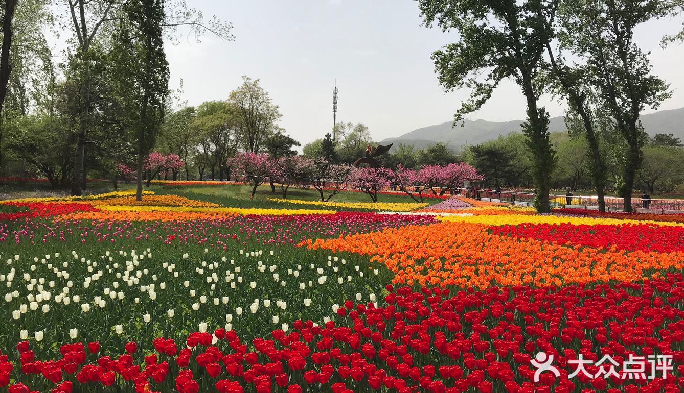 北京植物园地址(北京植物园地址查询)