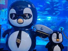 -成都浩海立方海洋公园