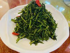 清香枸杞苗-国强手抓(北京西路店)