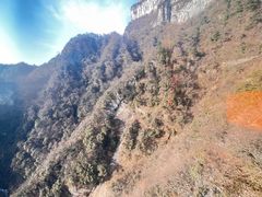 -西姆山居酒店(九寨沟沟口店)