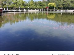 -大连植物园