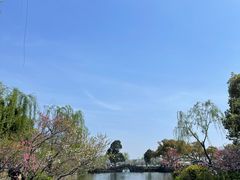 -无锡蠡湖国家湿地公园-蠡园