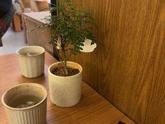 -CURRY YA 熟成咖哩專門店(深圳湾万象城店)