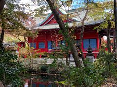 景点-井之头恩赐公园