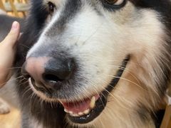 -白兔子密室(长寿路店)