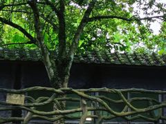 -海口火山口国家地质公园